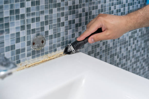 Best Insurance-Related Mold Remediation in Warrensburg, IL