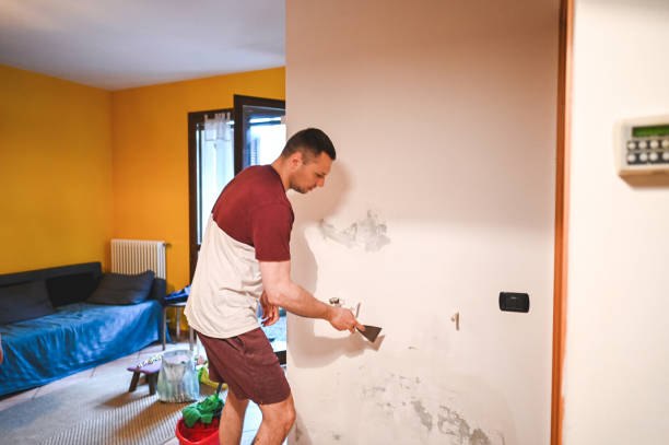 Best Industrial Mold Remediation in Warrensburg, IL
